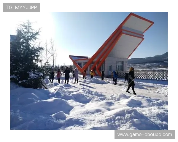 欧博登陆入口安全验证流程，保障用户账号信息安全